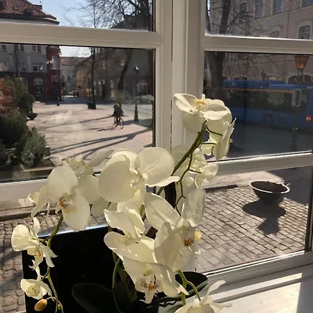 Tiltu 5 Jacuzzi * Klaipeda