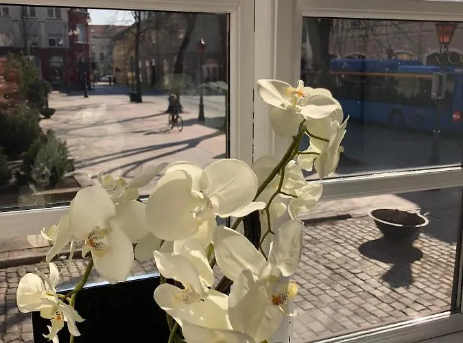 Tiltu 5 Jacuzzi * Klaipėda